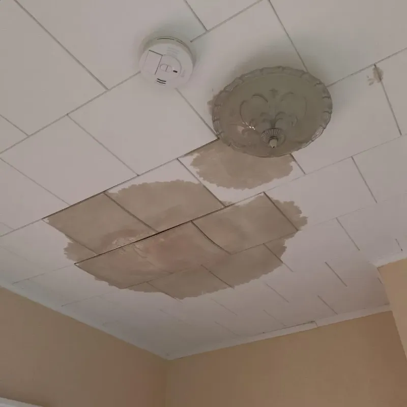 Ceiling Water Damage Repair in Crowell, TX
