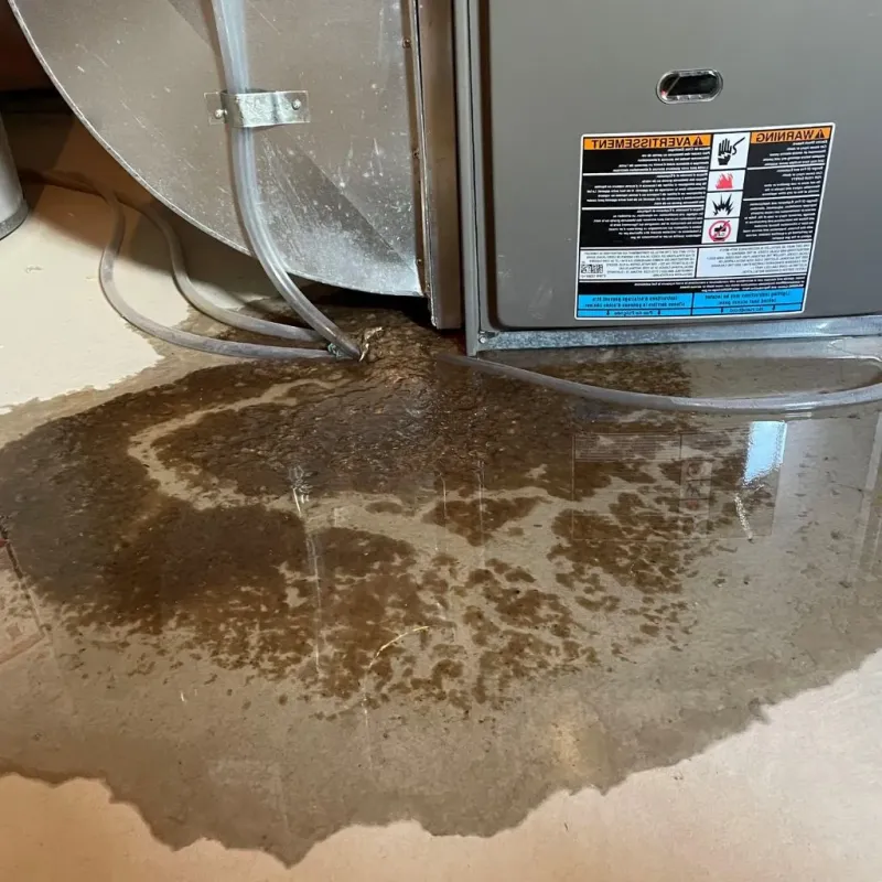 Pipe Burst and Leak Restoration in Crowell, TX