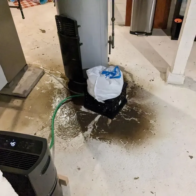 Sewage Backup Cleanup Service in Crowell, TX